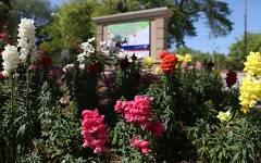 Map on campus with flowers in front of it.